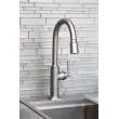 Newport Brass Adams(R): Pull-Down Kitchen Faucet