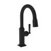 Newport Brass Adams(R): Prep/Bar Pull Down Faucet