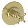 Newport Brass Victoria: 3/4" Round Thermostatic Trim Plate with Handle