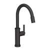 Newport Brass Seager(R): Pull-Down Kitchen Faucet