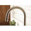 Newport Brass Seager(R): Pull-Down Kitchen Faucet