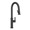 Newport Brass Seager(R): Pull-Down Kitchen Faucet - Trigger Spray