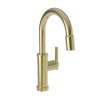 Newport Brass Seager(R): Prep/Bar Pull Down Faucet