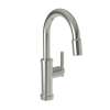 Newport Brass Seager(R): Prep/Bar Pull Down Faucet