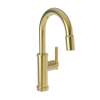 Newport Brass Seager(R): Prep/Bar Pull Down Faucet