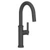 Newport Brass Seager(R): Prep/Bar Pull Down Faucet