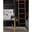 Newport Brass Heaney: Pull-Down Kitchen Faucet