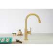 Newport Brass Jeter(R): Pull-Down Kitchen Faucet