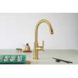 Newport Brass Jeter(R): Pull-Down Kitchen Faucet