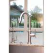 Newport Brass Jeter(R): Pull-Down Kitchen Faucet