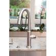 Newport Brass Jeter(R): Pull-Down Kitchen Faucet