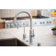Newport Brass Jeter(R): Pull-Down Kitchen Faucet