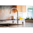 Newport Brass Jeter(R): Pull-Down Kitchen Faucet