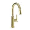 Newport Brass Jeter(R): Prep/Bar Pull Down Faucet