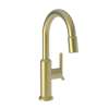 Newport Brass Jeter(R): Prep/Bar Pull Down Faucet