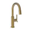 Newport Brass Jeter(R): Prep/Bar Pull Down Faucet