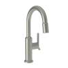 Newport Brass Jeter(R): Prep/Bar Pull Down Faucet