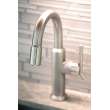 Newport Brass Jeter(R): Prep/Bar Pull Down Faucet