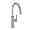 Newport Brass Jeter(R): Prep/Bar Pull Down Faucet