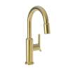Newport Brass Jeter(R): Prep/Bar Pull Down Faucet