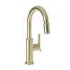 Newport Brass Jeter(R): Prep/Bar Pull Down Faucet