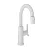 Newport Brass Jeter(R): Prep/Bar Pull Down Faucet