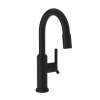 Newport Brass Jeter(R): Prep/Bar Pull Down Faucet