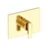 Newport Brass Secant(R): 3/4" Rectangular Thermostatic Trim Plate with Handle