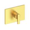 Newport Brass Secant(R): 3/4" Rectangular Thermostatic Trim Plate with Handle