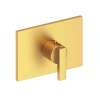 Newport Brass Secant(R): 3/4" Rectangular Thermostatic Trim Plate with Handle