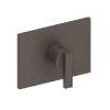 Newport Brass Secant(R): 3/4" Rectangular Thermostatic Trim Plate with Handle