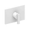 Newport Brass Secant(R): 3/4" Rectangular Thermostatic Trim Plate with Handle