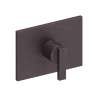 Newport Brass Secant(R): 3/4" Rectangular Thermostatic Trim Plate with Handle