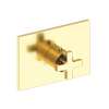 Newport Brass Secant(R): 3/4" Rectangular Thermostatic Trim Plate with Handle