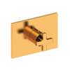Newport Brass Secant(R): 3/4" Rectangular Thermostatic Trim Plate with Handle