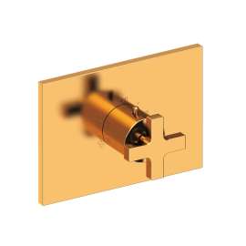 Newport Brass Secant(R): 3/4" Rectangular Thermostatic Trim Plate with Handle