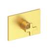 Newport Brass Secant(R): 3/4" Rectangular Thermostatic Trim Plate with Handle