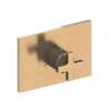 Newport Brass Secant(R): 3/4" Rectangular Thermostatic Trim Plate with Handle