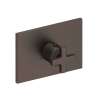 Newport Brass Secant(R): 3/4" Rectangular Thermostatic Trim Plate with Handle