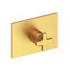 Newport Brass Secant(R): 3/4" Rectangular Thermostatic Trim Plate with Handle