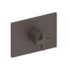 Newport Brass Secant(R): 3/4" Rectangular Thermostatic Trim Plate with Handle