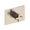 Newport Brass Secant(R): 3/4" Rectangular Thermostatic Trim Plate with Handle