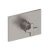 Newport Brass Secant(R): 3/4" Rectangular Thermostatic Trim Plate with Handle