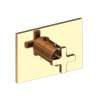 Newport Brass Secant(R): 3/4" Rectangular Thermostatic Trim Plate with Handle