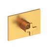 Newport Brass Secant(R): 3/4" Rectangular Thermostatic Trim Plate with Handle