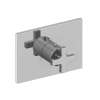 Newport Brass Secant(R): 3/4" Rectangular Thermostatic Trim Plate with Handle