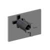 Newport Brass Secant(R): 3/4" Rectangular Thermostatic Trim Plate with Handle