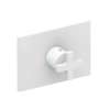 Newport Brass Secant(R): 3/4" Rectangular Thermostatic Trim Plate with Handle