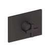 Newport Brass Secant(R): 3/4" Rectangular Thermostatic Trim Plate with Handle
