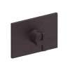Newport Brass Secant(R): 3/4" Rectangular Thermostatic Trim Plate with Handle